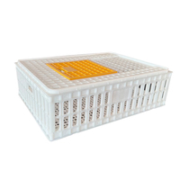 Équipement agricole Caisse de transport en plastique pour volaille pour poulet canard Pigeon caille élevage Chiffre d'affaires Poussin Coop Cage
