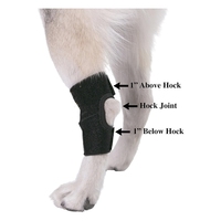 Chien Canine Knuckling Corrector Toe Dragging Brace Wrap pour patte de jambe arrière avant ou arrière