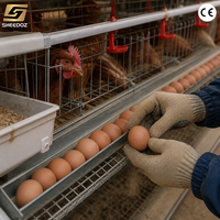 Cage à poulets à 3 niveaux pour l'élevage de poules pondeuses et l'équipement avicole, système d'élevage de poules, cages en batterie, cage pour poules pondeuses