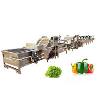 Industriële multifunctionele groente- en fruitmaïswasmachine Voedselkwaliteit roestvrij staal Hoge efficiëntie 110-380V