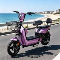 Scooter électrique à deux roues 48V haute puissance EBIKE 800 watts pour adultes, moteur sans balais à 3 vitesses, amortisseur arrière, double suspension