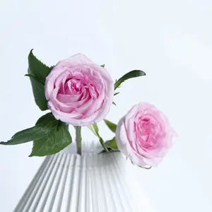 Export Wholesale Long Stem Large Head Fresh Cut Flower Fresh Flower Pink Rose Wedding Decoration Flower Shop