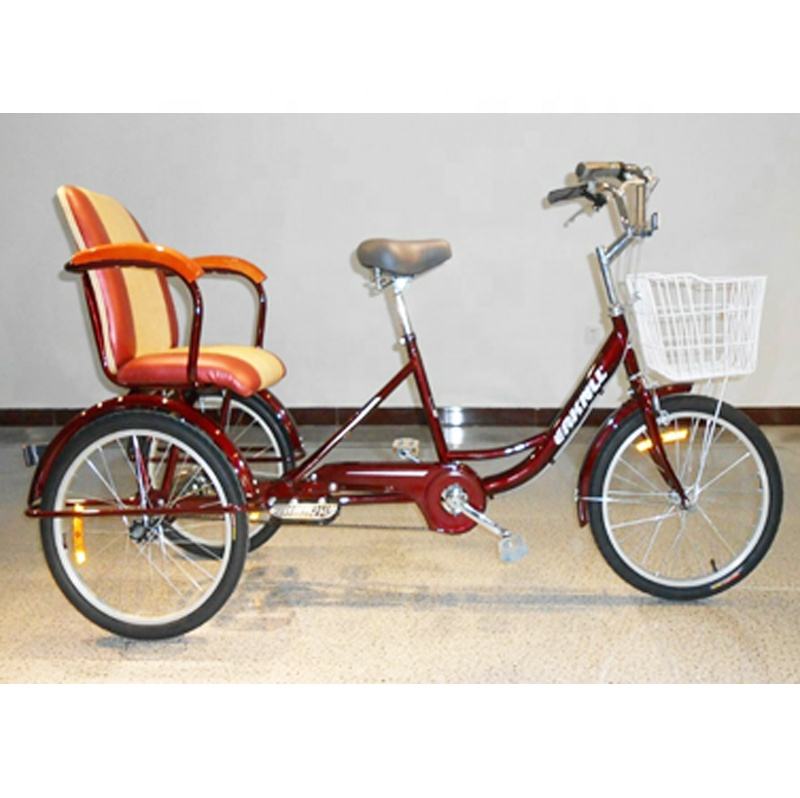 Triciclo Para Adultos 24 Inch Steel Frame Electric Tricycle