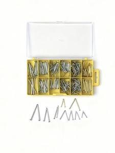 Stalen Nagelset In Verschillende Maten 500 Stuks Gegalvaniseerd En Met Koper Gecoate Platte Spijker Kleine Gemeenschappelijke Draad Ijzeren Spijker Met Tack - Product Image 5