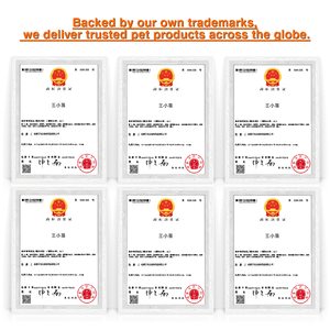 Poussette de <span class=keywords><strong>transport</strong></span> pour animaux de compagnie, <span class=keywords><strong>chien</strong></span>, chat, portable, pliable, légère, détachable, 4 roues, maille Oxford, petite et moyenne taille, <span class=keywords><strong>chariot</strong></span> à pousser - Product Image 6