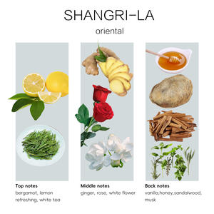 Shangri-La 2025 Offre Spéciale Huile de <span class=keywords><strong>Parfum</strong></span> Longue Durée pour Hôtels Plateforme B2B – Huile de <span class=keywords><strong>Parfum</strong></span> pour Diffuseur de Senteur - Product Image 5