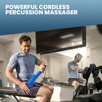 Fabrikverkauf Delfin-Massagestab Elektrischer Vibrationsmassagehammer Handgehaltener Nacken- und Rückenmassagegerät