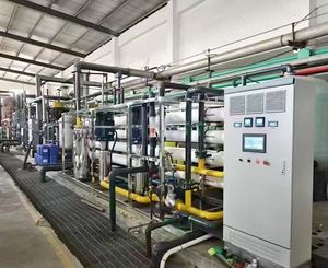 Sistema de Tratamiento de Agua Purificada por Ósmosis Inversa, Filtro de Agua Desmineralizada de un Solo Nivel, 500L/H, Industrial - Product Image 2