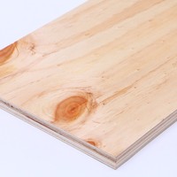Contreplaqué en bois dur d'eucalyptus imperméable et résistant aux intempéries 4x8 pieds pour la décoration intérieure des bâtiments