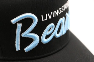 Tùy Chỉnh Lớn Thêu Bé Màu Xanh Dưới Brim Màu Đen Cổ Điển Bông Hóa Đơn Phẳng 5 Năm Bảng Điều Chỉnh Snapback <span class=keywords><strong>Hat</strong></span> - Product Image 6