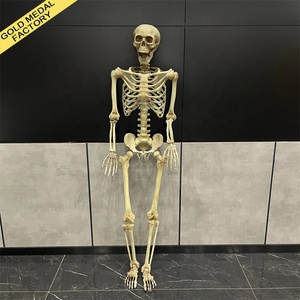 Halloween Squelette Simulation Squelette Humain Fantôme Maison Fête Décoration Props <span class=keywords><strong>Horreur</strong></span> Squelette <span class=keywords><strong>Anatomie</strong></span> Humaine Science Enseignement - Product Image 1