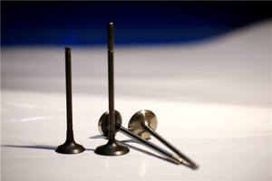 Kunden spezifische Produktion Geschmiedeter Motor Einlass Auslass ventil Fabrik für BMW Land Rover Benz Porsche Audi VW Jeep Ford Volvo - Product Image 6