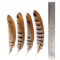 Plumes de queue de faisan Reeves naturelles en gros, 15-20 cm, motif de coiffe indienne, fournisseur brut, marque Xinyuling, Chine, 100