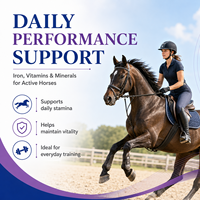 Complément Liquide Vitamines-Fer-Minéraux pour Chevaux Marque Blanche – Favorise le Complément Nutritionnel Essentiel des Besoins en Fer et Minéraux