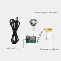 Module sonore MP3 personnalisé en gros pour cartes de vœux, jouets en peluche, puce vocale rechargeable Type-C pour cadeaux promotionnels et projets DIY
