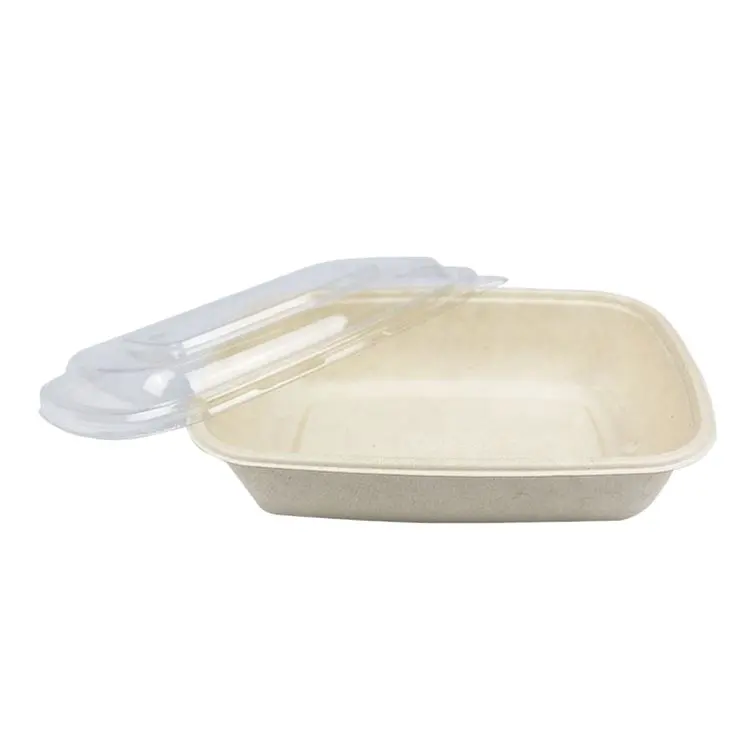 Hot Sale Disposable Sugarcane Bagasse Biodegradable Food Container With Plastic Lid