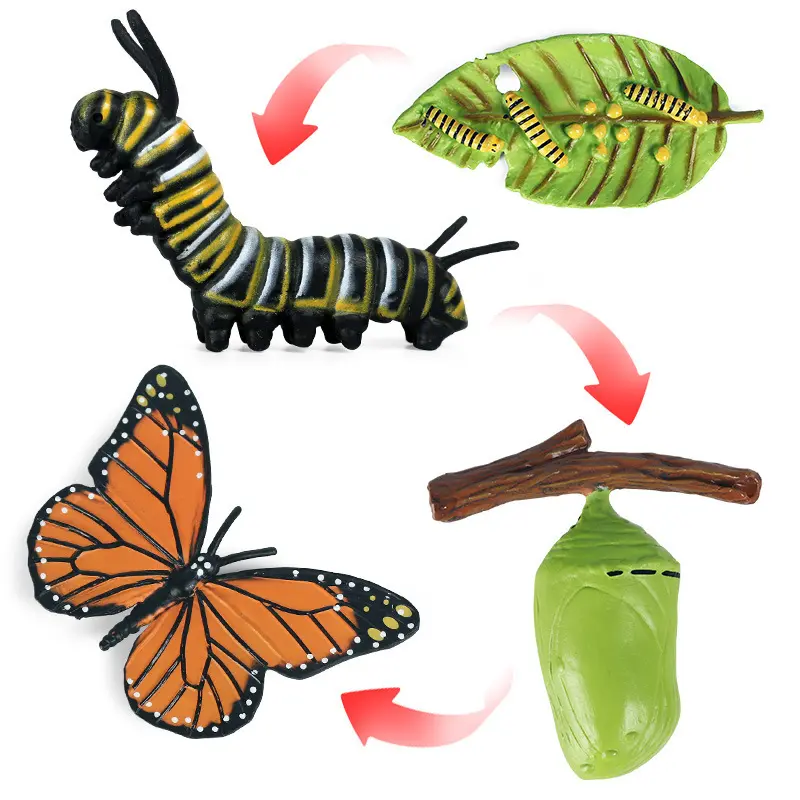 Mainan Stensil Siklus Hidup Pertumbuhan Kupu-kupu untuk Anak-anak Siklus Hidup Pertumbuhan Hewan Mainan Pendidikan Awal Lainnya