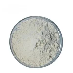 High Quality 98% Puerarin Pueraria Kudzu Mirifica Root Extract Pueraria Lobata Extract