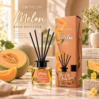 Luxueuze geurverspreiderset van 120 ml met exclusieve verpakking voor merkbezitters en importeurs