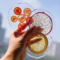 Handgemaakte epoxyhars onderzetters met echte fruitschijfjes, hittebestendig design - perfect voor thuis, kopjesonderzetter, keuken, café decoratie, cadeau