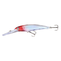Umpan Pancing Lip Minnow Besar 17cm 30g, Umpan Keras Buatan Mengambang untuk Mancing di Laut, Sungai, Air Asin, Ikan Kakap, Pike, Marlin, dan Ikan Mas
