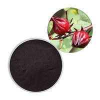 Extrait de fleur d'hibiscus Anthocyanidines Roselle Extrait Roselle Poudre Poudre de fleur d'hibiscus