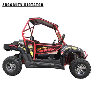 Groothandel Epa Ce Buggy Tout Terrein 4X2 De Gasolina Adultos 250 Eec Verkoop 4-takt 250cc Motorfiets Motor Utv