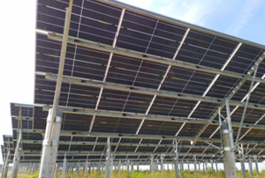 Dispositivo di spegnimento rapido doppio PV Scoutbee1600/1600M supporto funzione Wifi interruttore di spegnimento rapido per sistema solare - Product Image 6