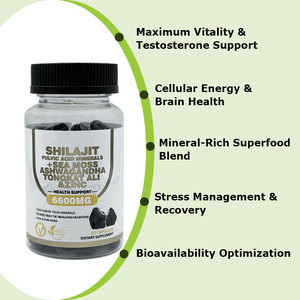Cápsulas de Shilajit de Marca Privada OEM, Ashwagandha, Shilajit, Rhodiola Rosea, Panax 8 1 Complex, Suplementos Antioxidantes de Belleza - Product Image 3