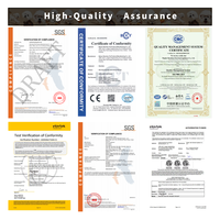 Secador de Mano para Mascotas Shernbao HD101A, Recargable, Silencioso, Compacto, de Plástico, Seguro, con Velocidad Ajustable, para el Hogar y Salones de Belleza
