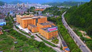 Leão <span class=keywords><strong>shiitake</strong></span> maitake cogumelo cordyceps, extrato de micelânio - Product Image 5