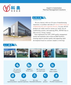 12英寸<span class=keywords><strong>SPAL</strong></span>直流电机空调冷凝器风扇12V/24v工厂推拉制冷 - Product Image 4