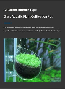 Pot de culture en verre cristal <span class=keywords><strong>pour</strong></span> plantes aquatiques, avec ventouse, fixation facile <span class=keywords><strong>pour</strong></span> aquarium et aquascape - Product Image 3