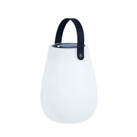 Lanterne de table LED solaire pour le camping en plein air, rechargeable par USB, sans fil, lampe de table en PE avec poignée en silicone