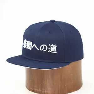 批发 Snapback 定制 3d 刺绣双色篮球帽子和帽子定制 snapback