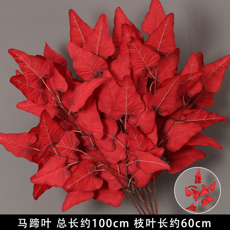 Red Horse Hoof Leaf/Branch