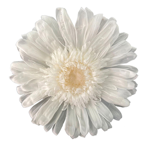 Margaritas naturales de color africano, <span class=keywords><strong>Gerbera</strong></span>, <span class=keywords><strong>jamesonii</strong></span>, bolo, flor de sol decorativa, flor de Margarita preservada - Product Image 3