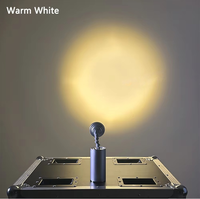 20 projecteurs LED mini pinspot 10W avec étui, sans fil 2.4G DMX, contrôle IR, sur batterie, pour fêtes, mariages, DJ