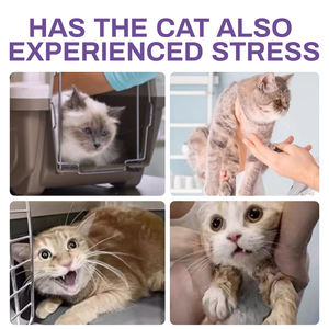 Spray de confort pour animaux de compagnie avec phéromone de lavande pour chiens et chats - <span class=keywords><strong>Anti</strong></span>-anxiété et soulagement du stress (sans médicaments) - Product Image 3