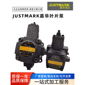 Pompe à palettes variables Justmark VP20 FA3 VP40 FA1 Pompe hydraulique - Product Image 3