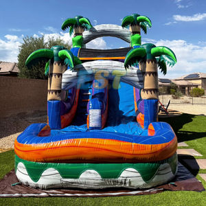 Jeux de plein air de haute qualité grand toboggan gonflable pour enfants toboggan gonflable piscine toboggan gonflable pour adultes - Product Image 4