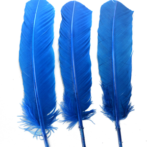 Pluma de Pavo Real <span class=keywords><strong>Auga</strong></span> para Manualidades, Tocados, Sombreros, Disfraces, Cosplay, Accesorios, Carnaval, Fiesta, Boda, Decoración Floral para el Hogar - Product Image 1