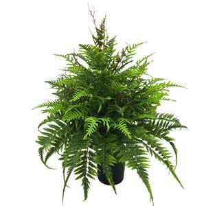 Ensemble de plantes artificielles <span class=keywords><strong>en</strong></span> plastique de style forêt de fougères pour pots de fleurs et vases, utilisation intérieure/extérieure - Product Image 5