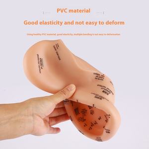 23 सेमी पारंपरिक चीनी चिकित्सा ऑरिकुलर पॉइंट मॉडल दोहरी भाषा शरीर सुरक्षा फ़ंक्शन के साथ कान अभ्यास - Product Image 4