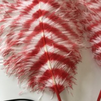 Nouvel Arrivage Plumes d'autruche de 60-65 cm à vendre, Grands éventails en plumes d'autruche, Centre de table en plumes d'autruche