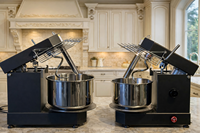 Fabrieksmodel borstelloze motor 850W 11-speeds kantelbare kop verwijderbare kom brood pizza amasadora spiraal deegmixer 15L 6Kg