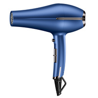Sèche-cheveux professionnel domestique à température constante 2000W haute puissance, 3 vitesses, buse à jet unique, ions négatifs, protection contre la surchauffe