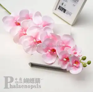 Finta seta farfalla orchidea fiore fiori artificiali Phalaenopsis cinese colore avorio per la decorazione dell'arco dello sfondo della festa nuziale