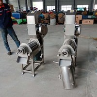 Commerciële Vruchtensap Extractiemachine Zeer Efficiënte Commerciële Fruitgroente Extractor Roestvrijstalen Juicer Machine