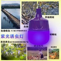 Trampa para Insectos Moderna con Luz LED Blanca, Recargable con Energía Solar, para Estanques de Peces y Jardines, con Clasificación IP65, Cuerpo de Lámpara de ABS